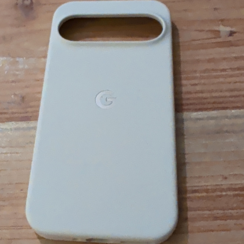 Google Pixel 9/9 Pro Case